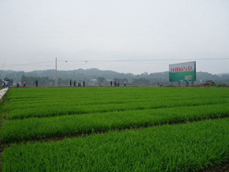 樂山營養肥哪家好(hǎo)